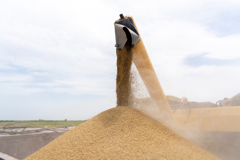 image-17188707072848862091_1200x630