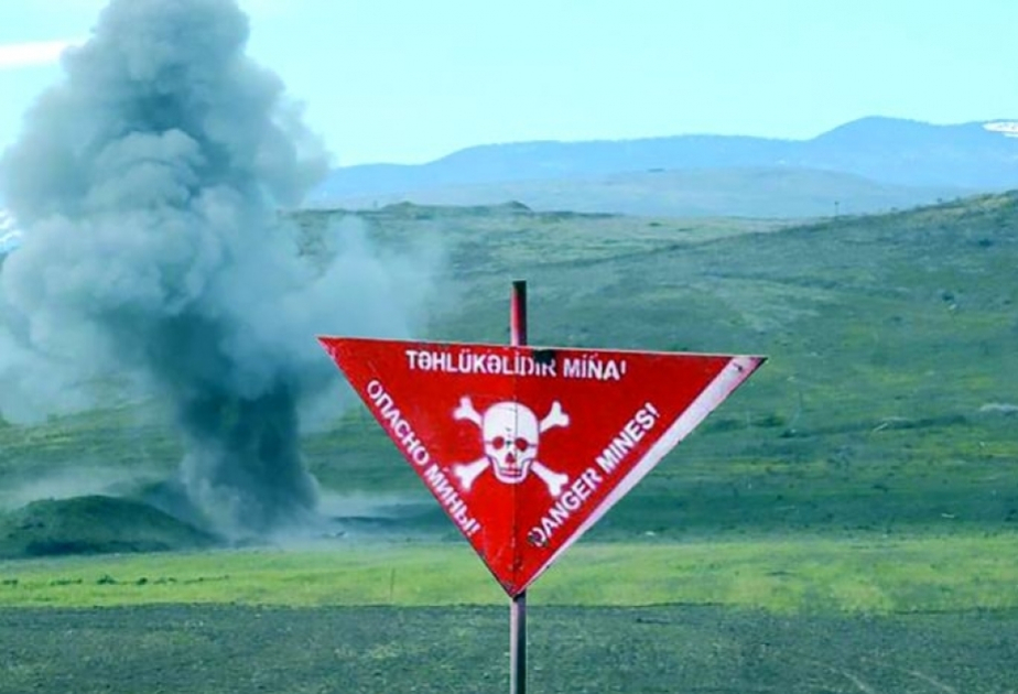 image-17189123305278346490_1200x630