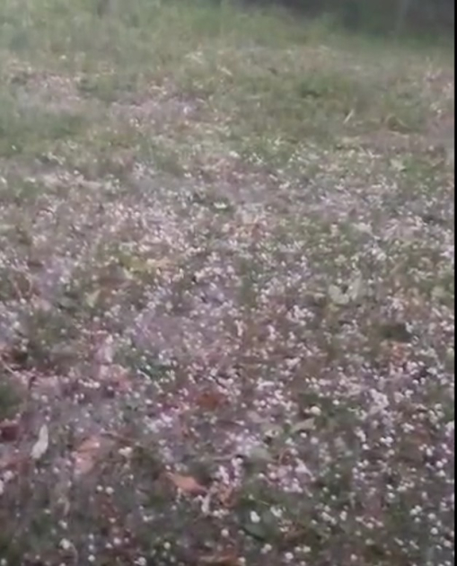 image-1719006099575687673_1200x630