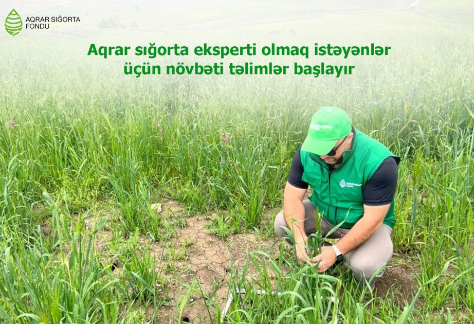 image-17193046444506913904_1200x630