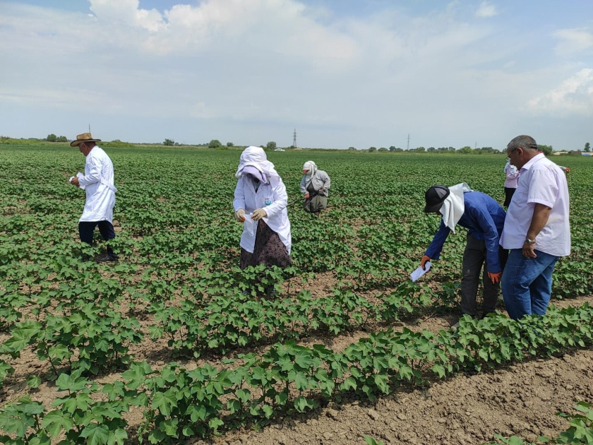 image-17194776492447062795_1200x630