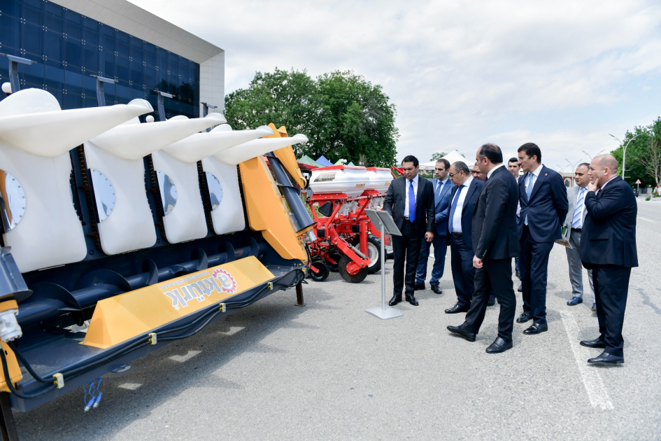 image-17195846036267958452_1200x630