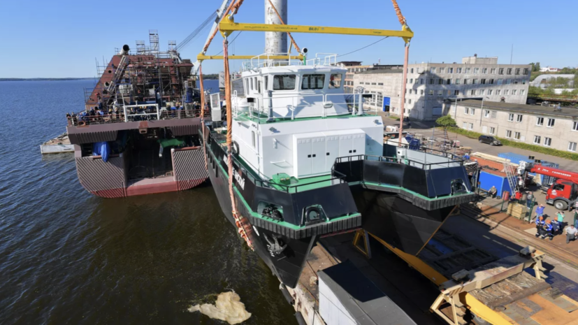 image-667f9d53ae5ac916be0a687b