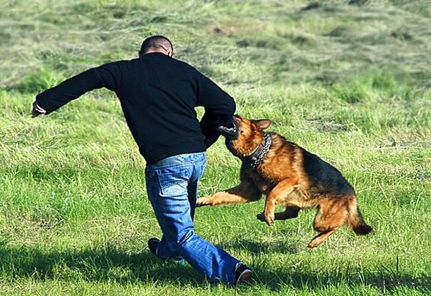 image-8wmxkvaycumx6l9klzanp93brhnkic429o0ogz13_640