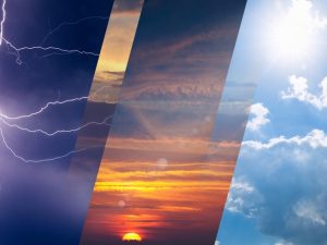 image-d2a66dfb-4a27-35ed-93e2-50cbc8229b68_850