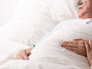 image-depositphotos_239281598_l-2015-pic905-895x505-66295