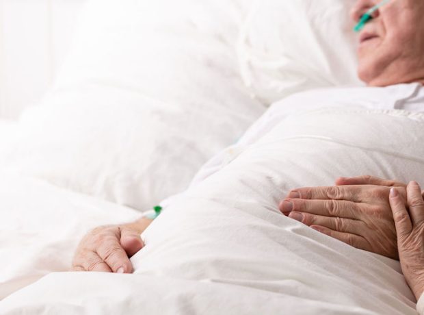 image-depositphotos_239281598_l-2015-pic905-895x505-66295