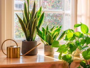 image-gift4-pic_32ratio_1200x800-1200x800-1408