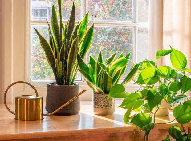 image-gift4-pic_32ratio_1200x800-1200x800-1408