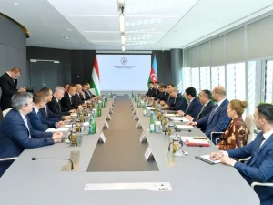 image-hfunzzfvizfoh3b1yisdscyuzaq29gtubz1n0026_640