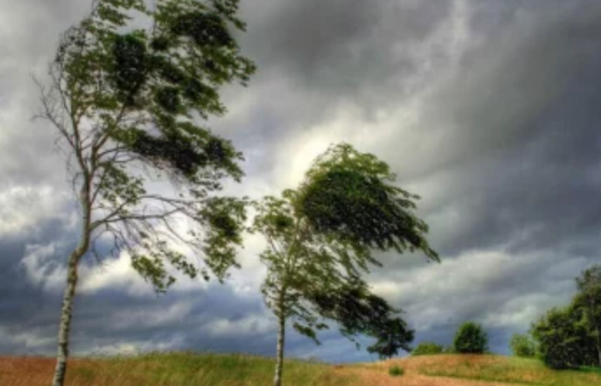 image-inshot_20240626_184305938