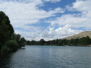 image-mossjkvgcn1ktujdwwsmtszzke4ngcyfhlteiy8g_640