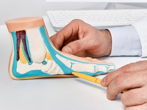 image-shutterstock_2289853215-pic_32ratio_1200x800-1200x800-88827