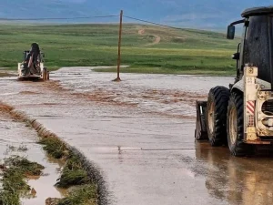 image-van-sarayda-sel-felaketi-100den-fazla-hayvan-telef-oldu-bcog