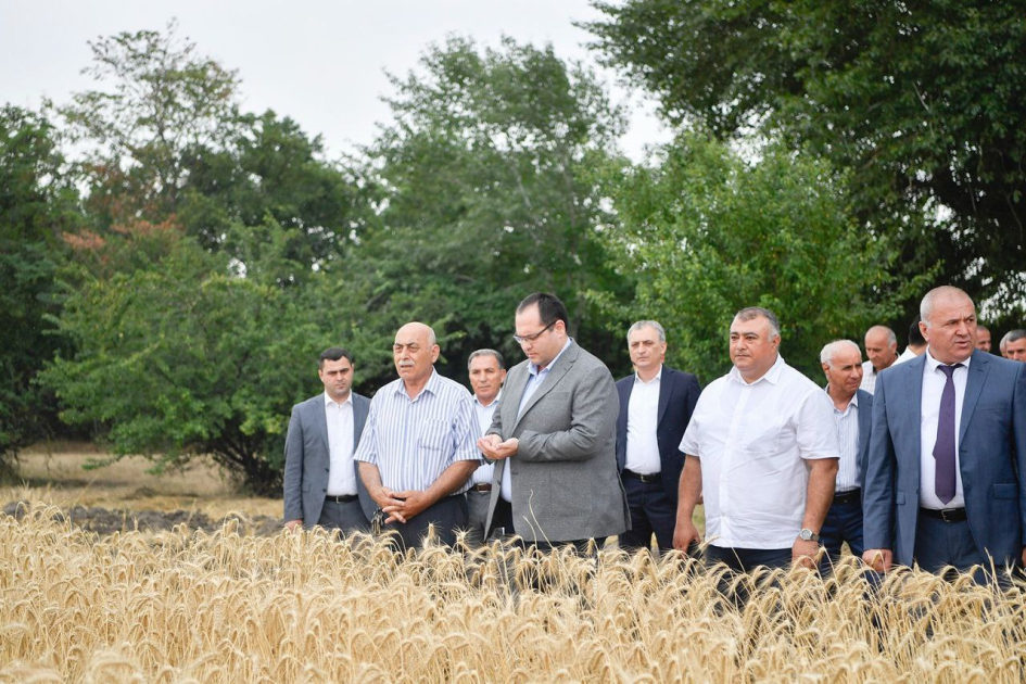 image-17199172464250843901_1200x630