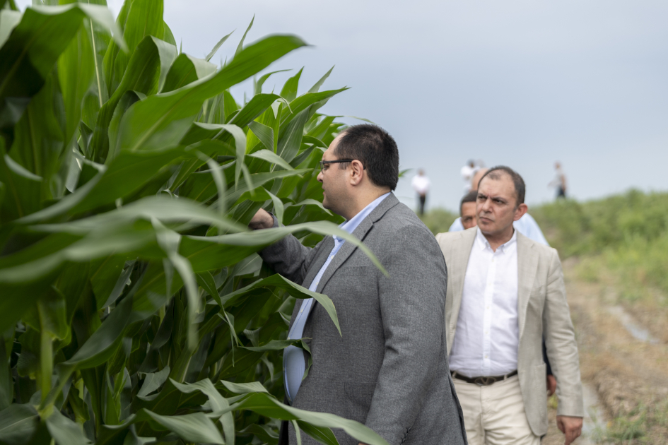 image-17200060392136964909_1200x630