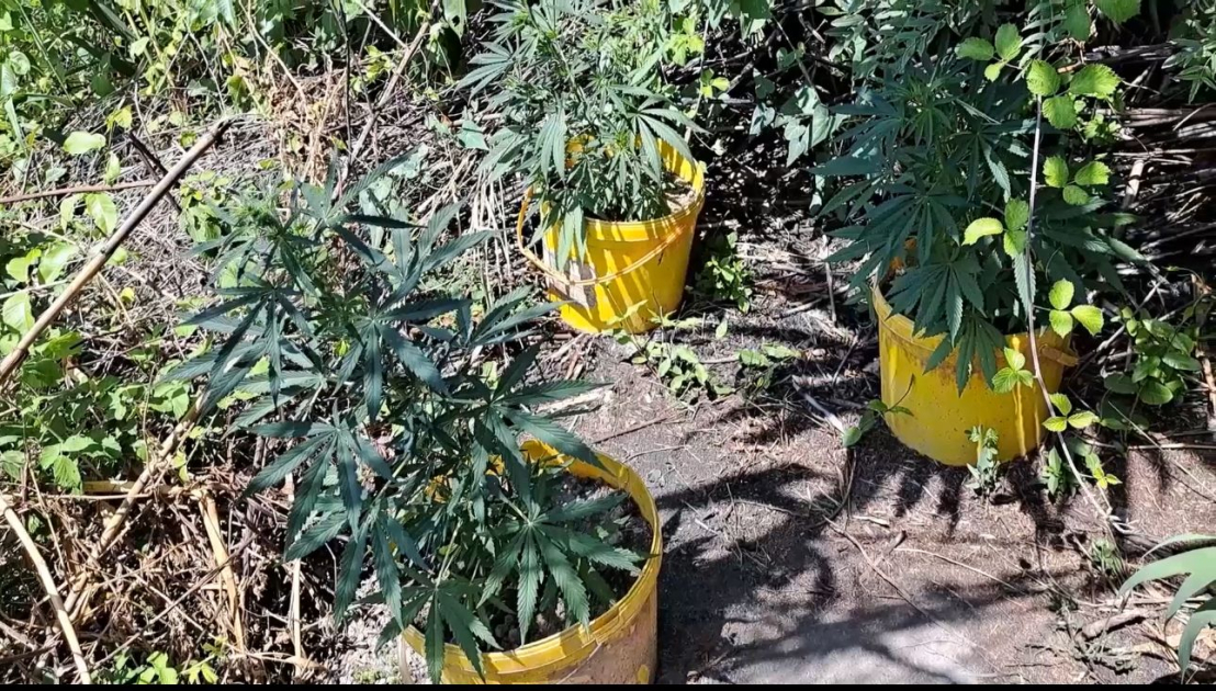 image-17200712703577521971_1200x630