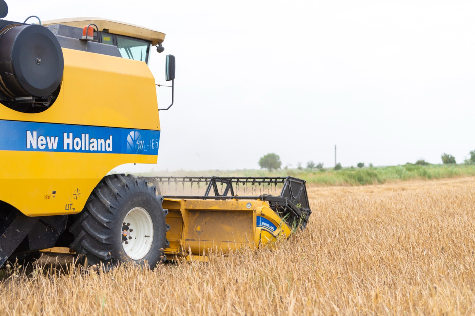 image-17200758032771656503_1200x630