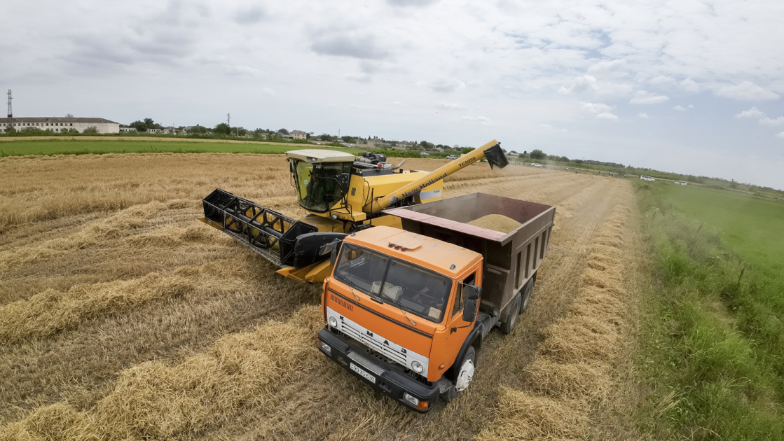 image-17204224301908128173_1200x630