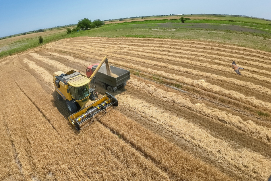 image-17206084842957915555_1200x630