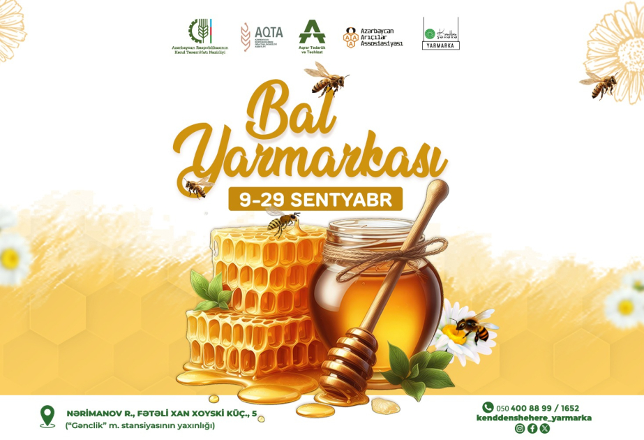 image-17222318261736752521_1200x630