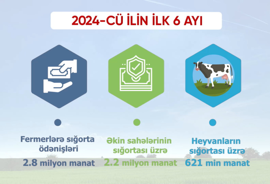 image-17224247812195533642_1200x630