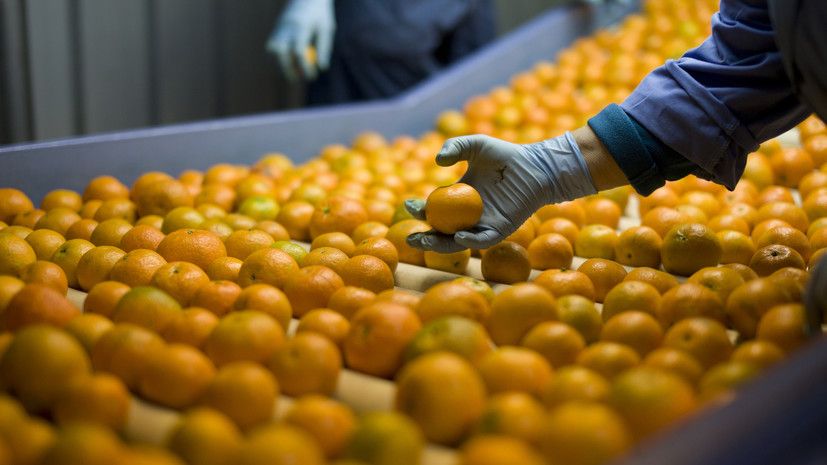 image-66864df2ae5ac91ab81b1ca3