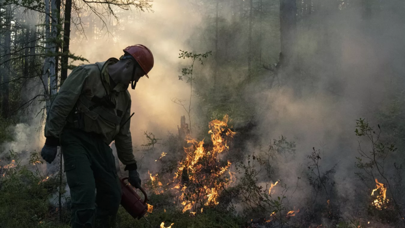 image-66952252ae5ac945e5126254