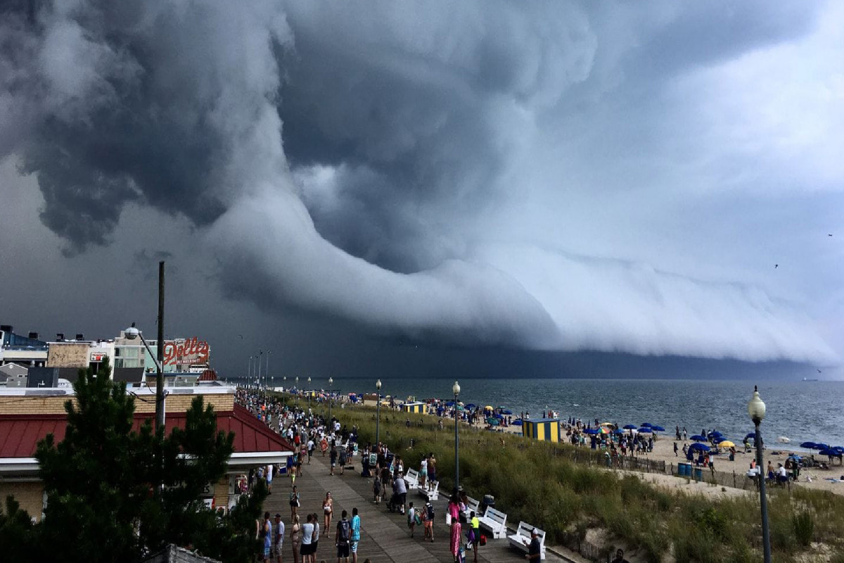 image-66a1b33bdc02266a1b33bdc023172187321166a1b33bdc02066a1b33bdc021