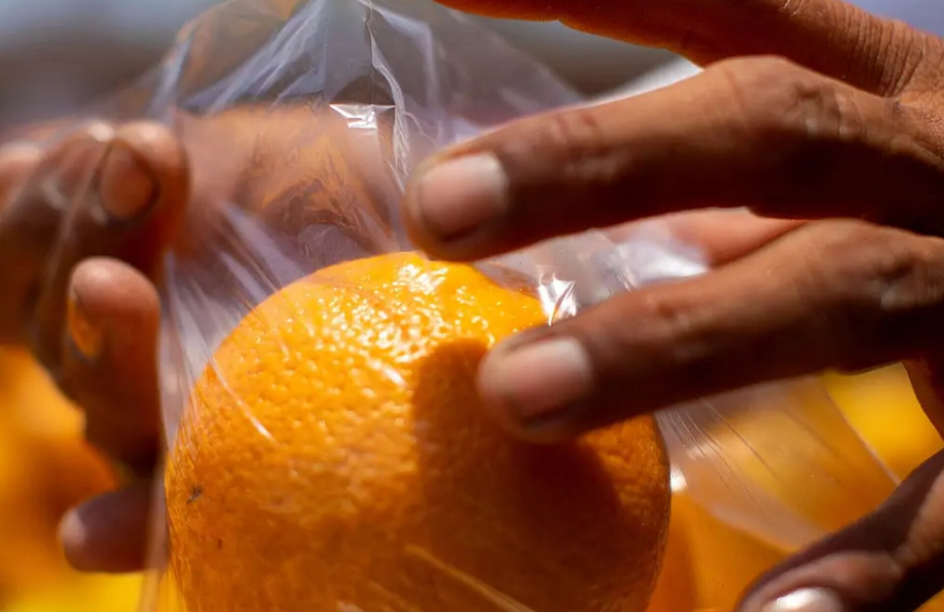 image-inshot_20240707_084010139