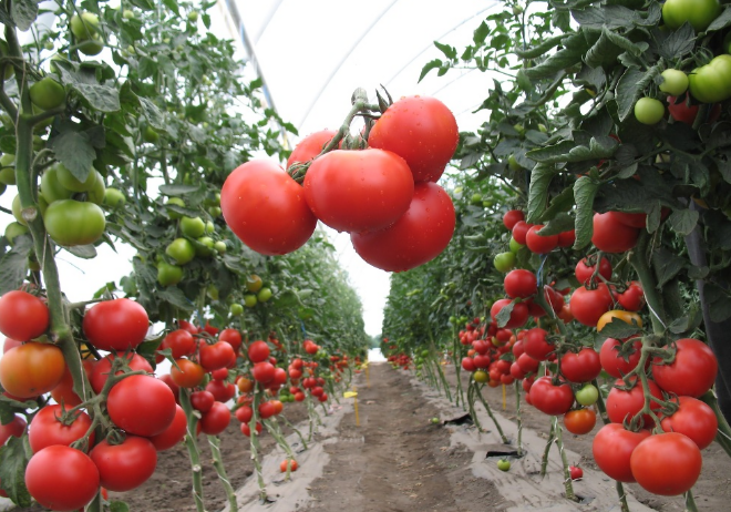 image-l97xvl8hmwzqg2bqopnxhumtjcstts0m6tojmefu