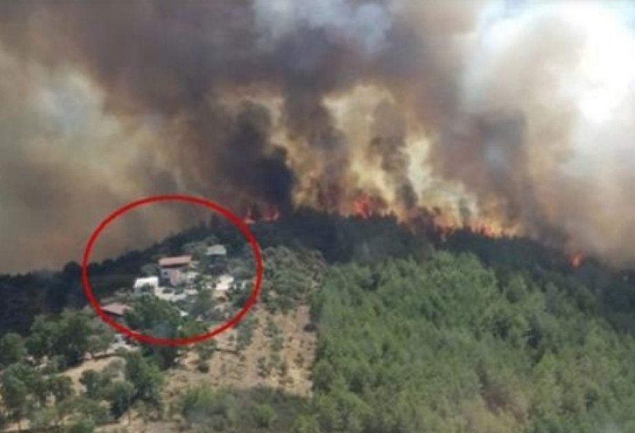 image-15651959883783425510_1200x630