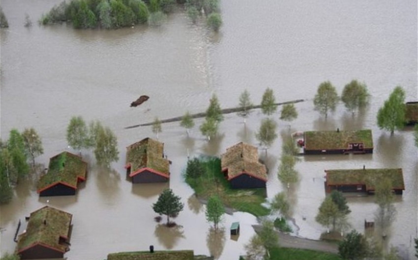 image-1691684441_0c3bf8c6-4b8b-3be7-bd20-9f44de48f687_850