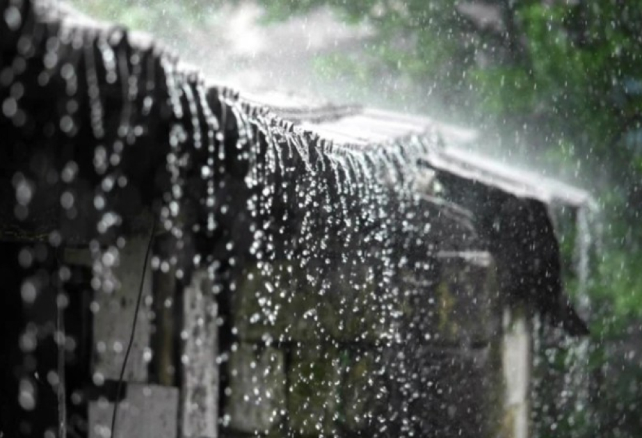 image-17212849603240011088_1200x630