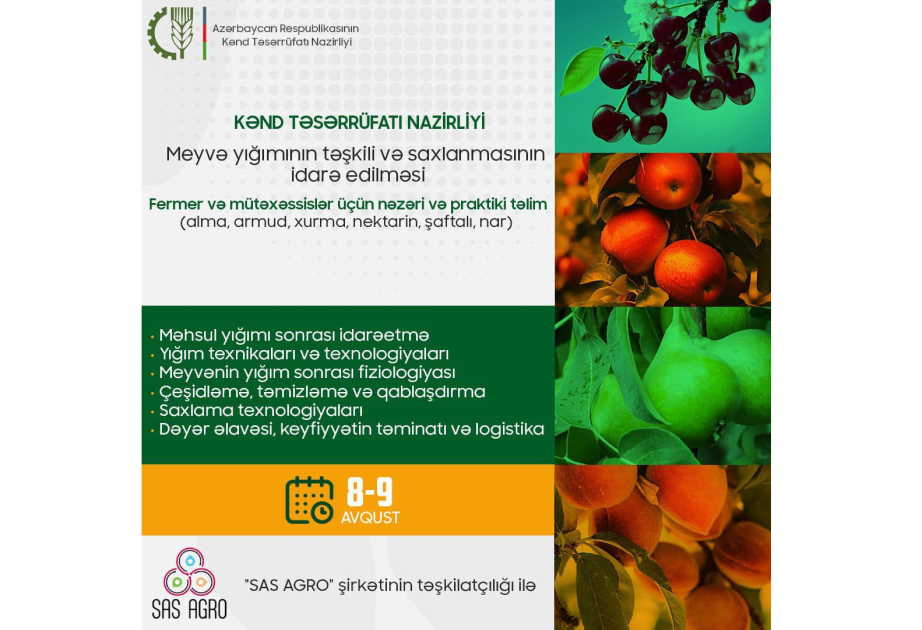 image-17225812513222024448_1200x630