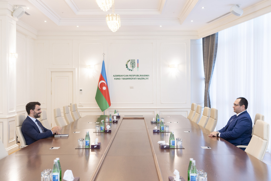 image-17225947025488633146_1200x630