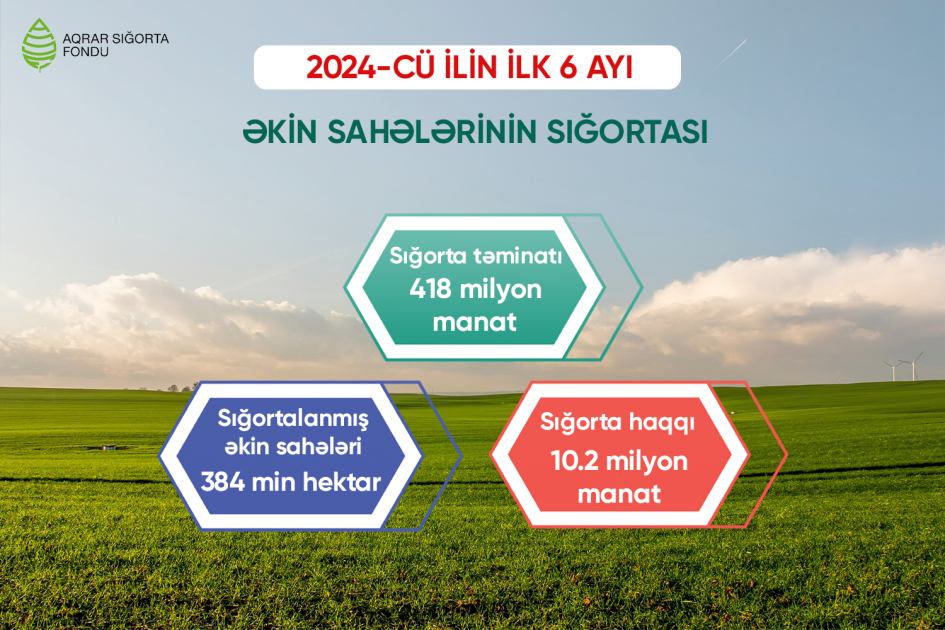 image-17226046006504357697_1200x630