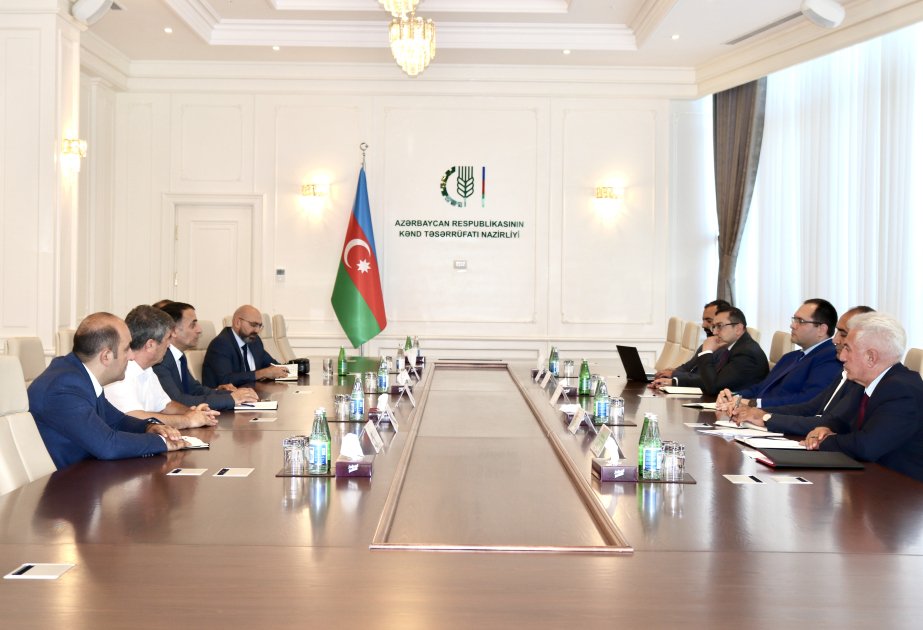 image-17229406573362942058_1200x630