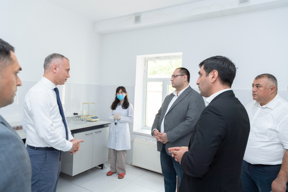 image-17231288196320325169_1200x630