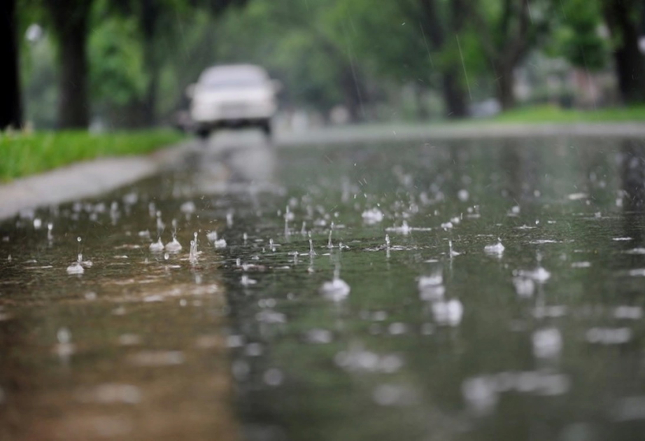 image-17234596071057165403_1200x630