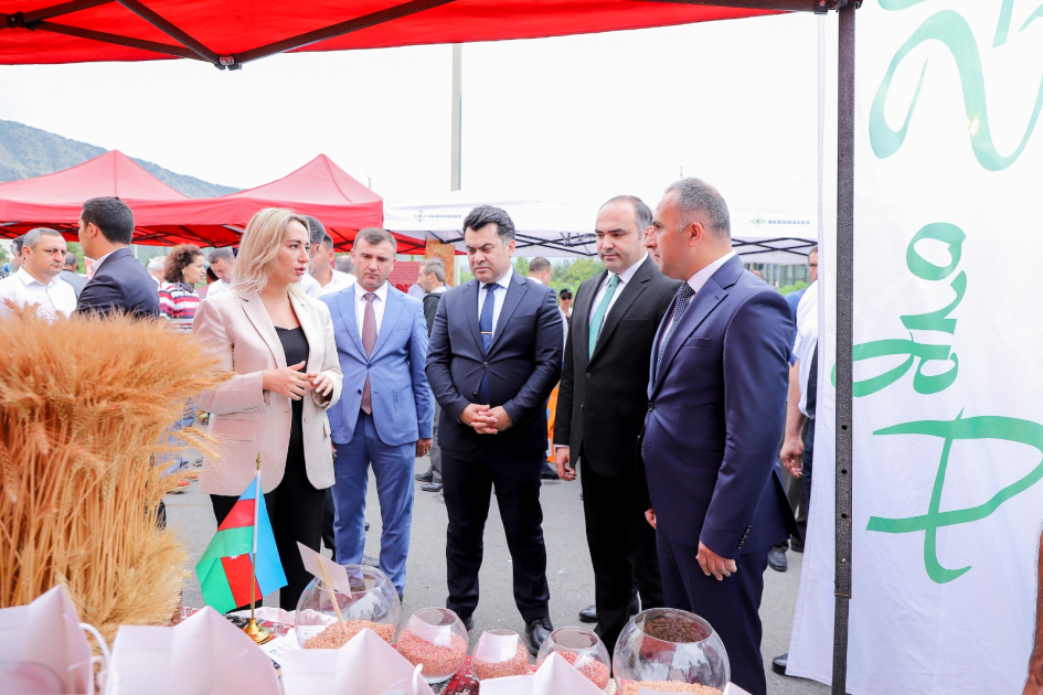 image-1724066990503511546_1200x630