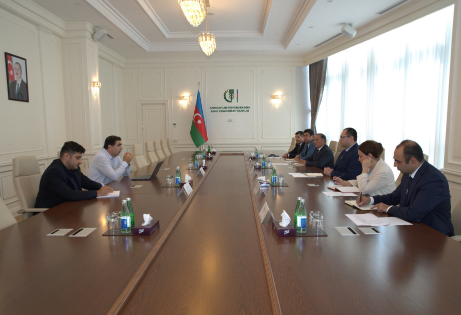 image-17240796894901137926_1200x630