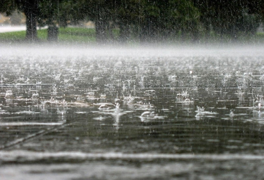 image-1724491026390393823_1200x630