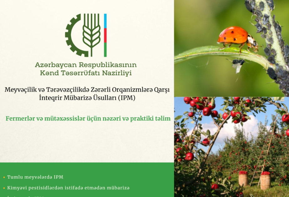 image-17247629921553453413_1200x630