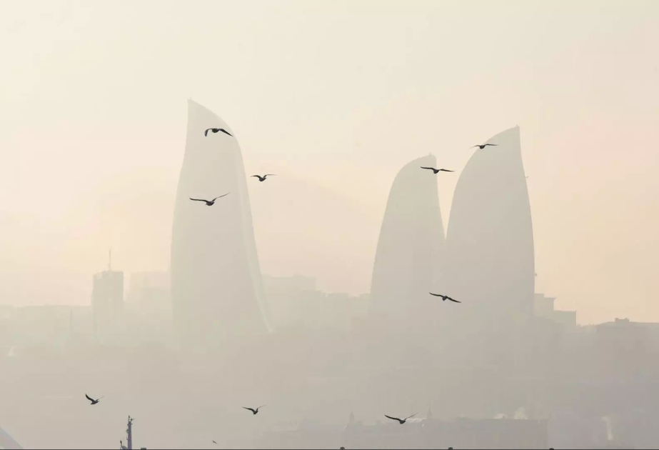 image-17249106395331335689_1200x630