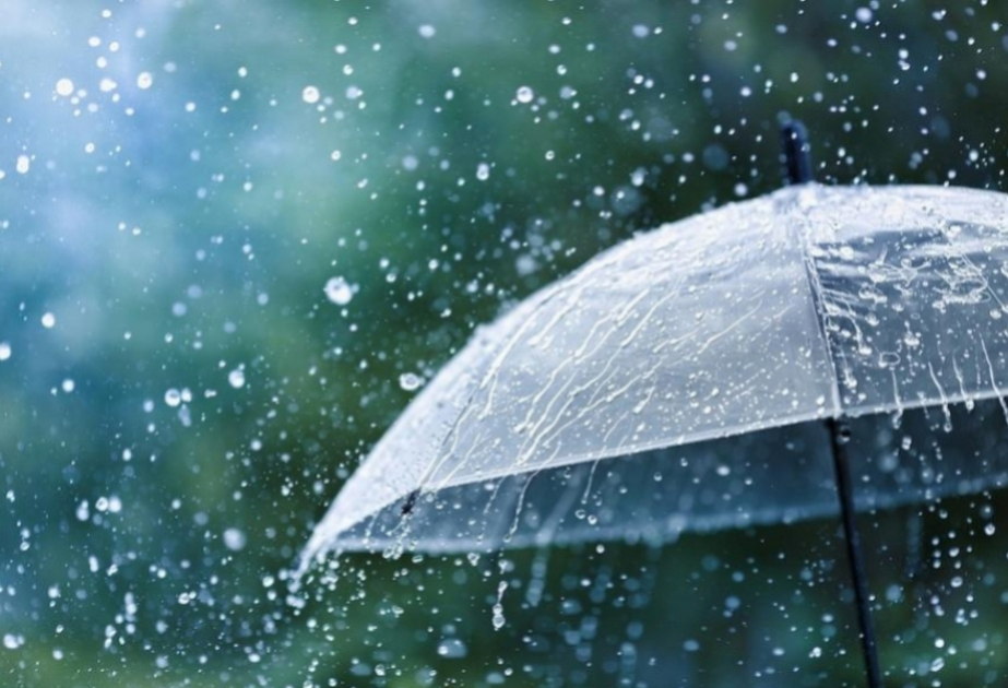 image-17250085005436126930_1200x630