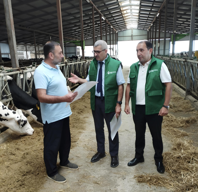 image-17250268445398714957_1200x630