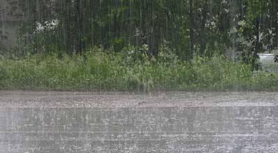 image-28908_hscggueuj8