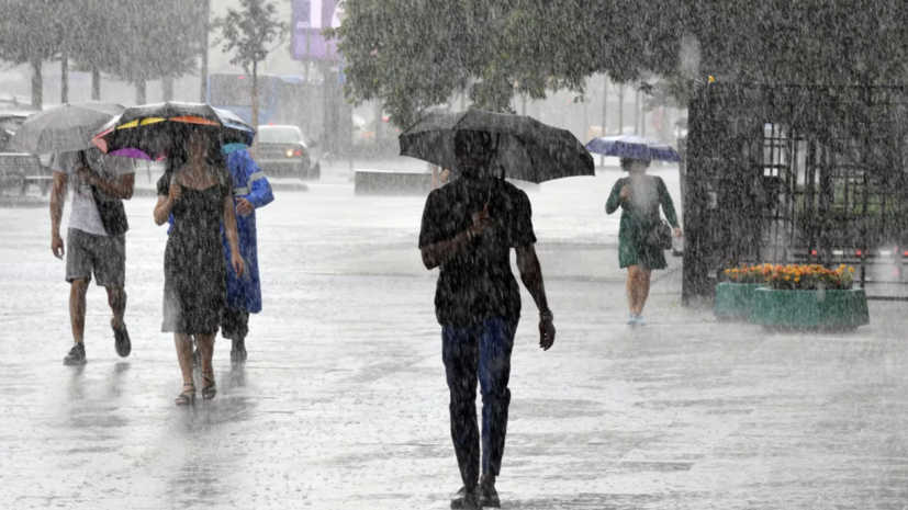 image-66b46a9dae5ac96273361658