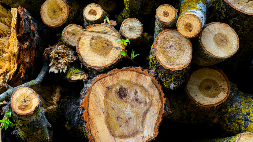 image-66bb03d9ae5ac936e2101d68